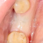 0_d9c07_54439835_L[1]